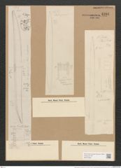 Nitzschia sigma var. latiuscula Grun. (de-Toni-Nr.: Genus 47, Species 2099) Zeichnungen Sammlung Grunow Nr. 4186 (NHMW-BOT-W0372082)